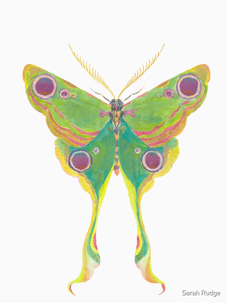 Luna Moth by Sarah Rudge