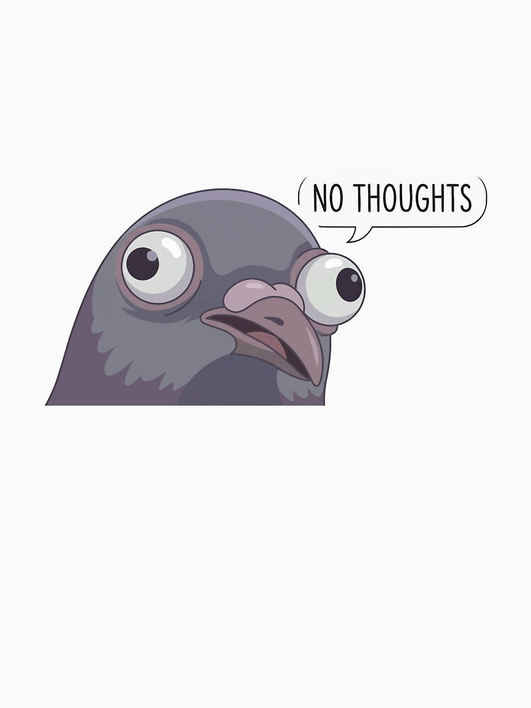 No Thoughts Head Empty - Derpy Pigeon Face Meme by Petzzz