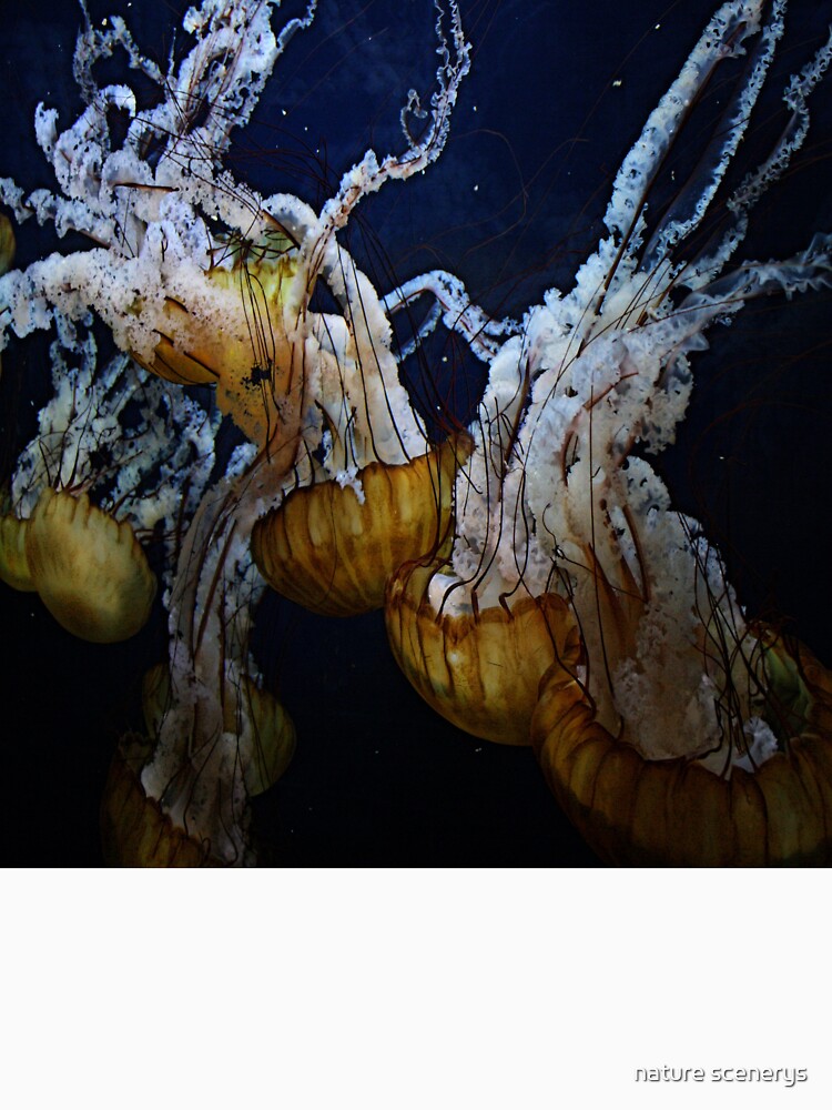 jellyfish painting by nature scenerys