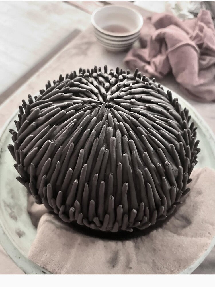 Ceramic University Of Ottawa bStudio Dreams Flourish by Chanfacesaround