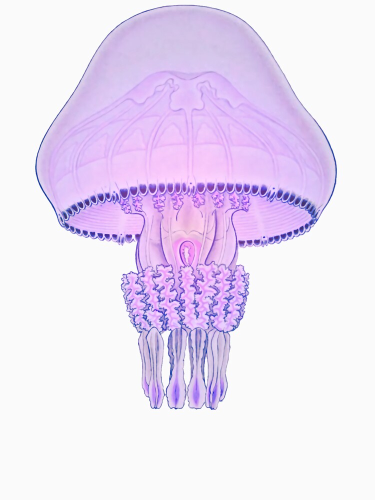 Glowing purple Jellyfish by Benforme