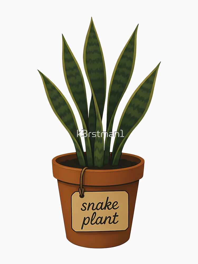 Potted Snake Plant Houseplant Botanical Illustration by k3rstman1