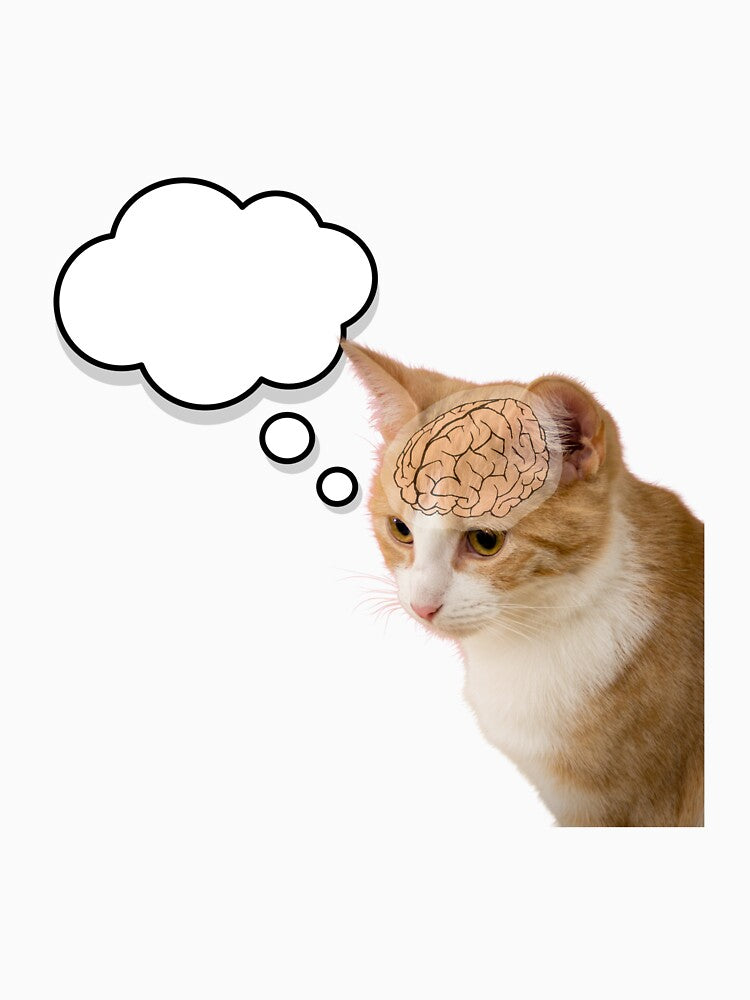 Overthinking Cat (No Thoughts) by Wholesome-Fox