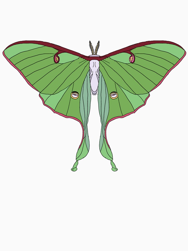 Dreamlight Luna Moth – Spirit of the Night by okayamberart