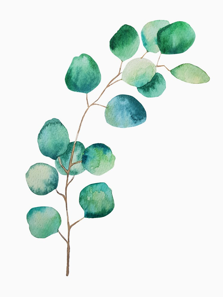 Design of eucalyptus branches watercolor green leaves by Createssy
