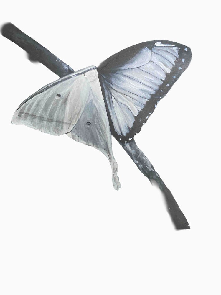 Moth X Butterfly by PIPPIN’S PRINTS