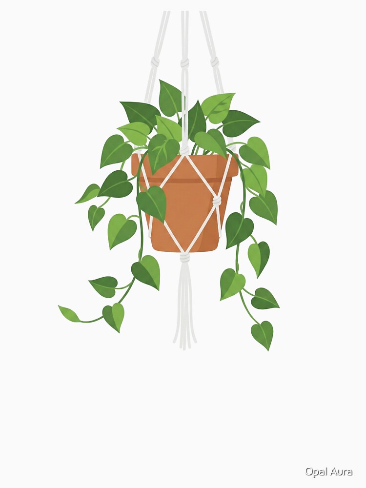 Boho Macrame Hanging Potted Plant Graphic by Opal Aura
