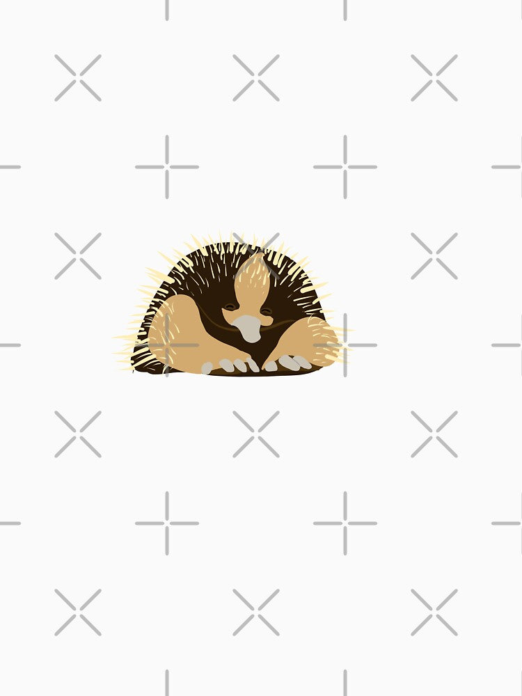 Cute Echidna by RandomDuck2060