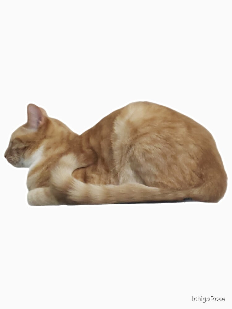 Orange Cat - Zen Position by IchigoRose