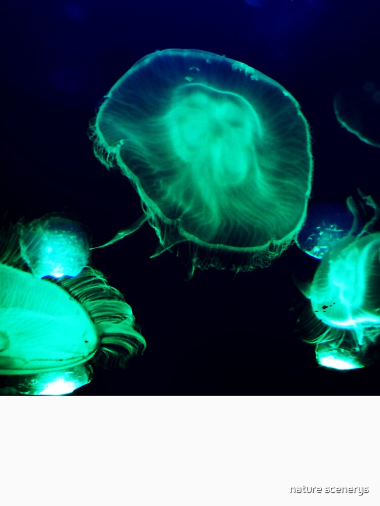 neon jellyfish by nature scenerys
