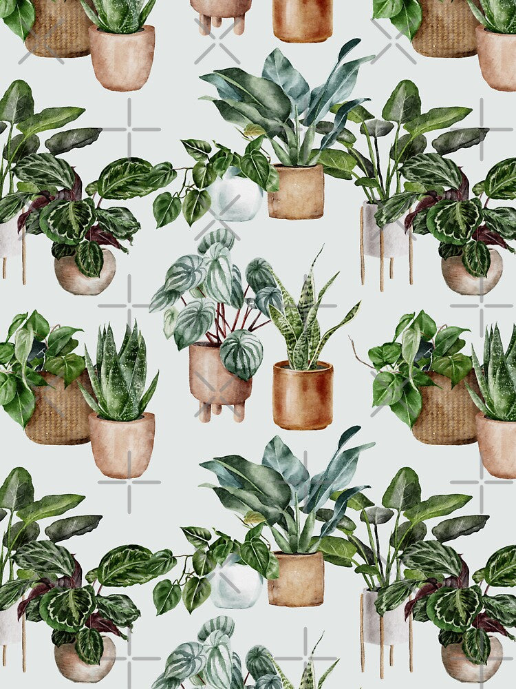 Snake Plant Prayer Plant  Houseplant Love Nature Light Pattern by travellb