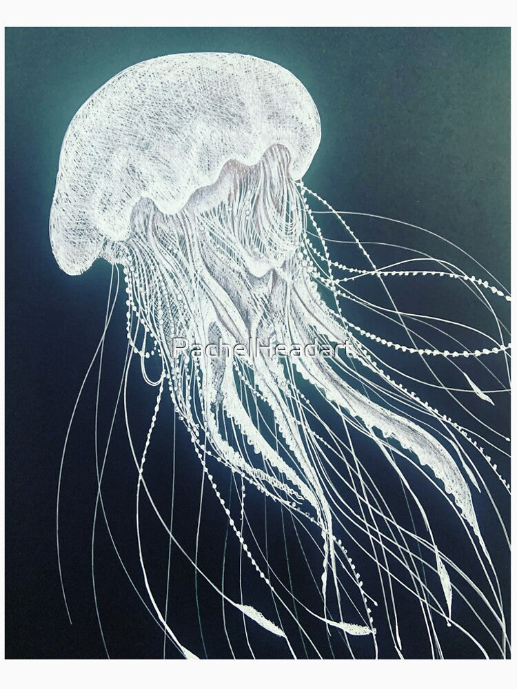 jelly fish by RachelHeadart