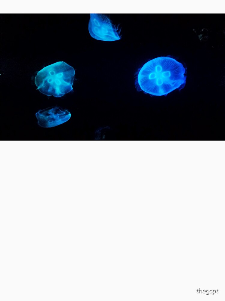 Jellyfish by thegspt
