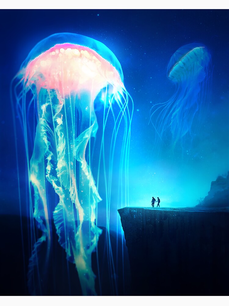 Jellyfish Canyon by vandervisuals
