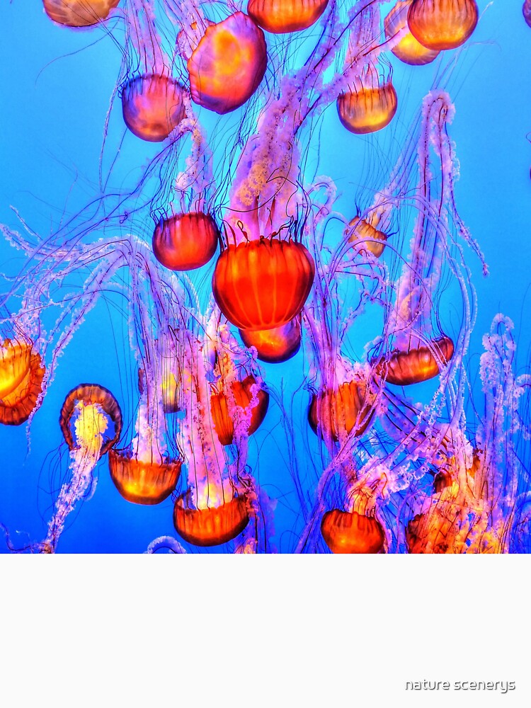watercolor jellyfish by nature scenerys