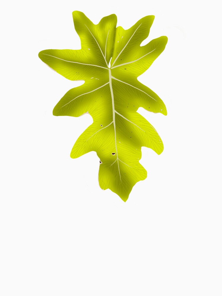 Warscewicizii philodendron by LilyDaug