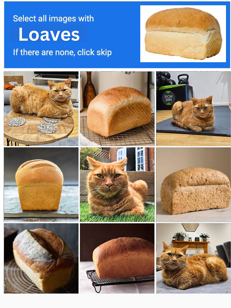Cat Loaf Captcha Test by clawfuldesigns