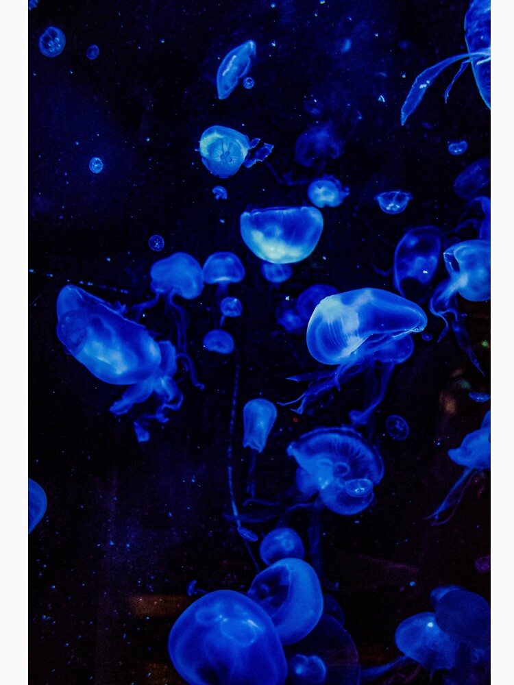 Jellyfish by MomMamaMaaam