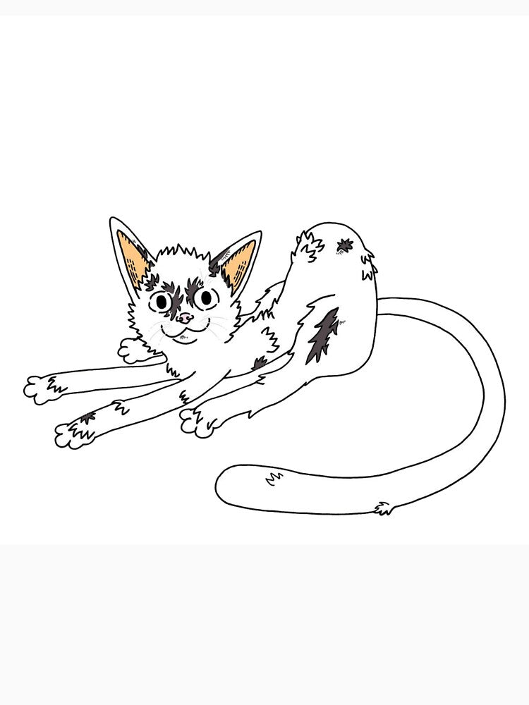 Scrappy White Kitten Long Tail Loaf by Salty-Dream