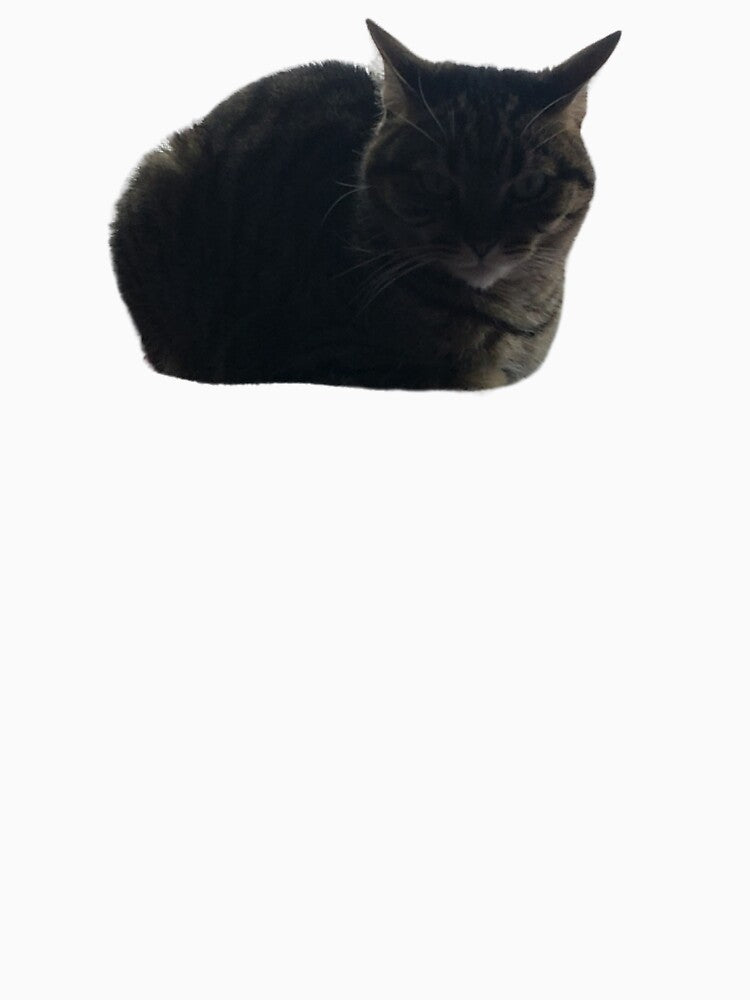 Grumpy Tabby by brittfewster