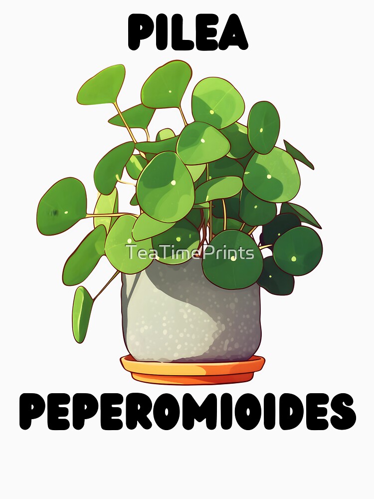 Pilea Plant by TeaTimePrints