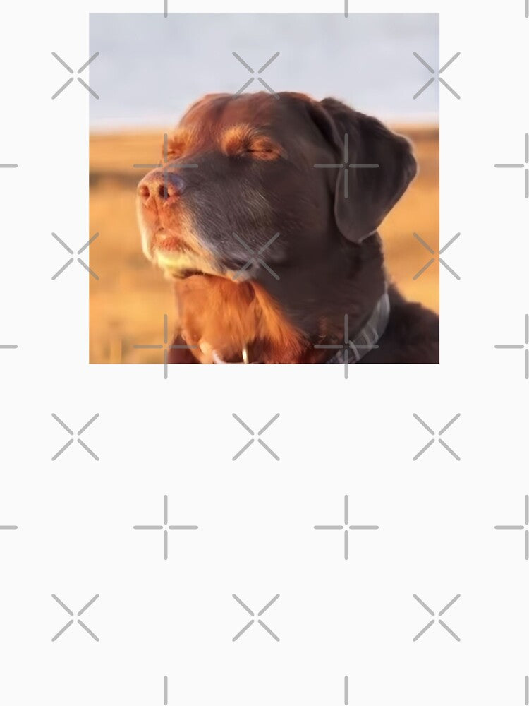 Unbothered Dog Meme Wall Art Just Vibing Funny Dog Poster Calm Dog Meme Print by VibeDept