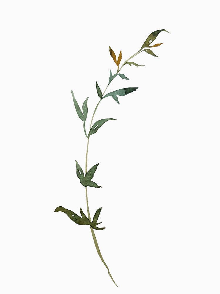 Print of green tiny twigs branch watercolor green leaves by Createssy