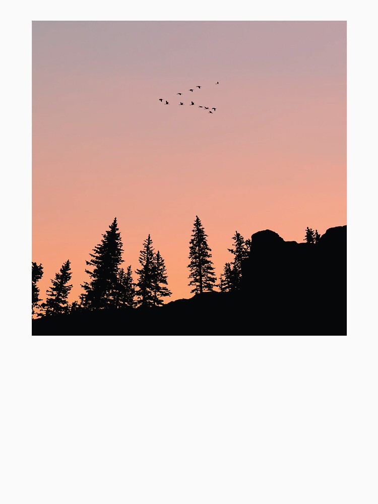Calm Sunset Evening Trees by kickingdesigns