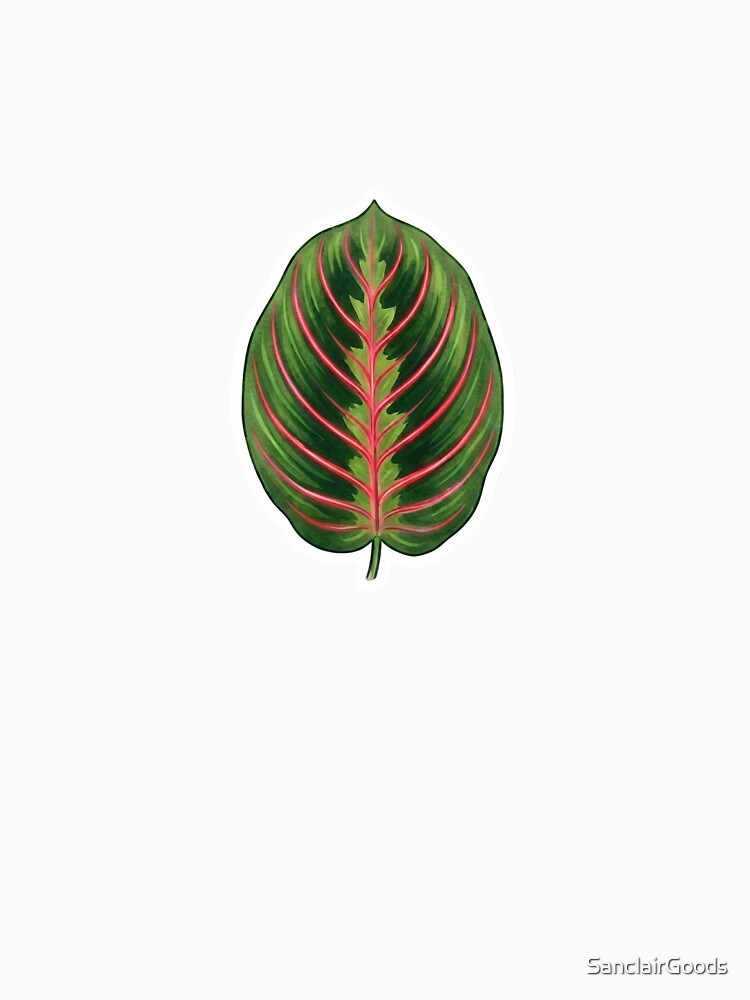 Aesthetic Maranta Prayer Plant Neon Botanical Art by SanclairGoods