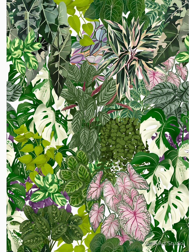 Urban Jungle House Plants Illustration 7 by Ana Moguš