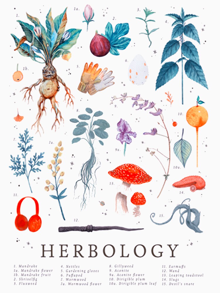 Herbology Harry Plants by Nouraoui