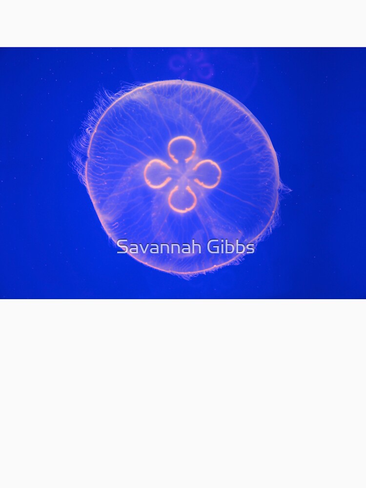 Jellyfish by Savannah Gibbs