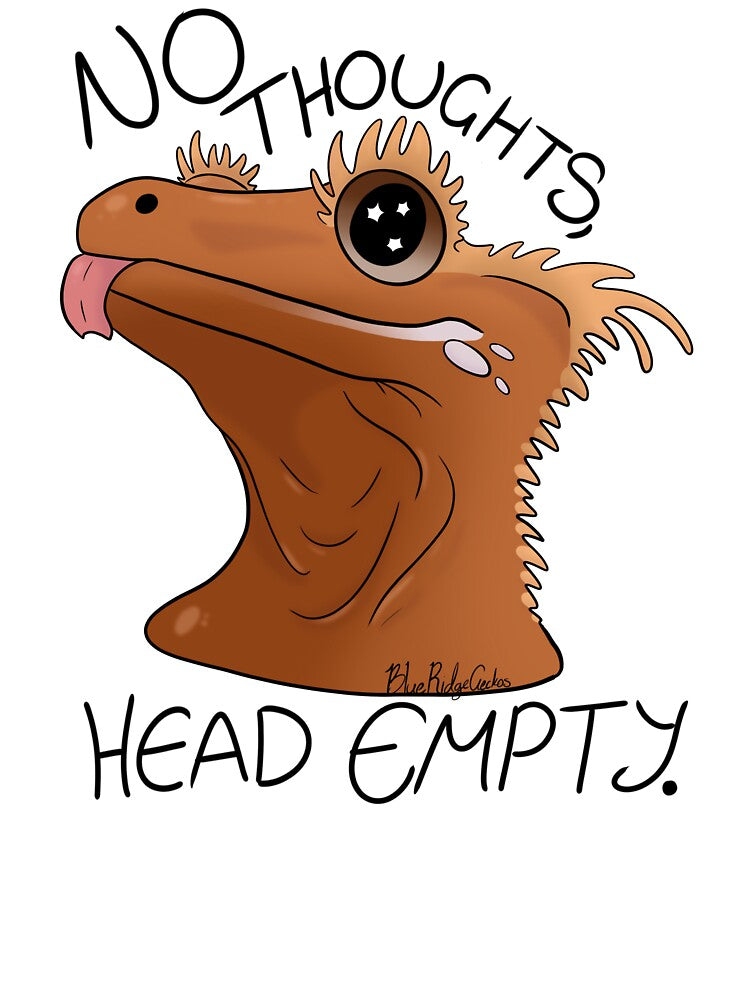 No Thoughts, Head Empty. by BlueRidgeGeckos