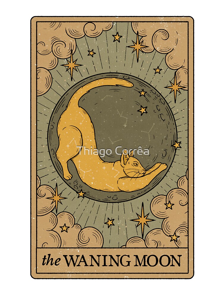 The Waning Moon - Lunar Cats by Thiago Corrêa