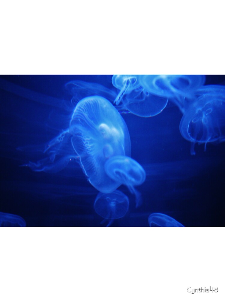 Moon Jelly by Cynthia48
