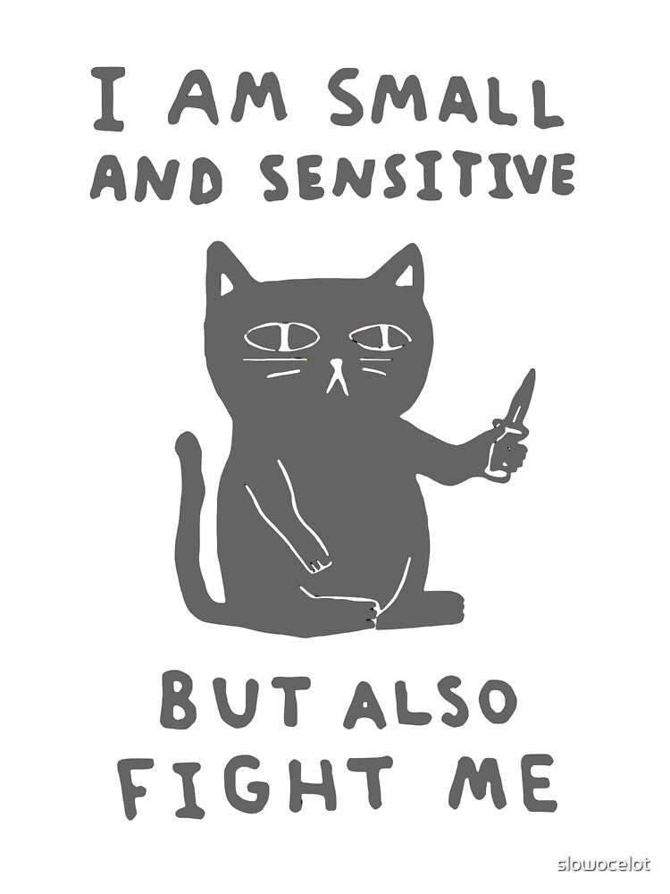 Funny Cat by slowocelot