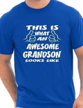 This Is What An Awesome Grandson Gift Mens T Shirt Size S-XXL