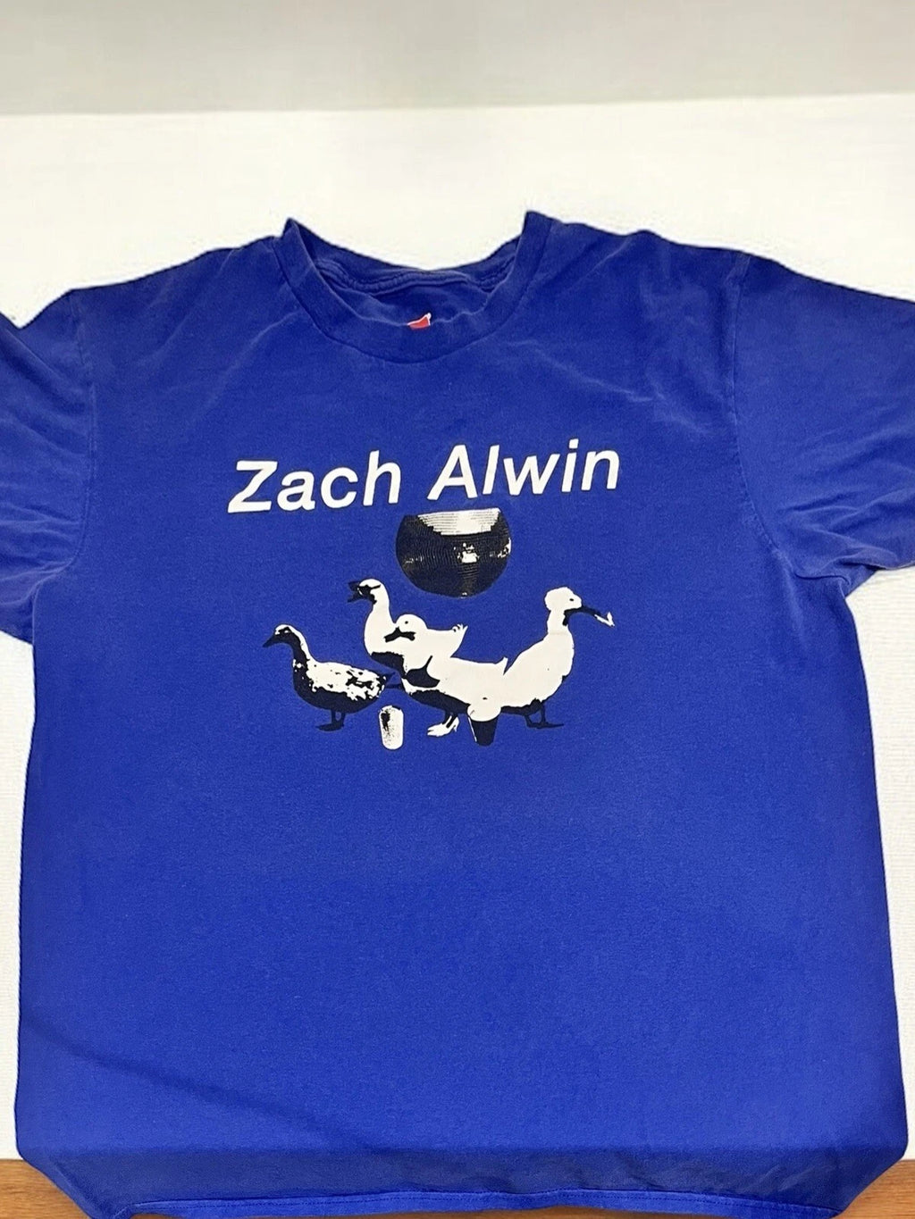 Zach Alwin T Shirt Mens Large Blue Streetwear Y2K Music Ducks