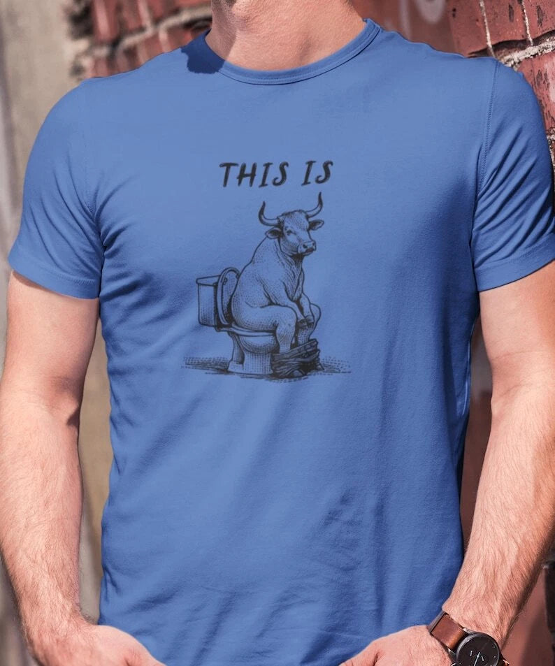 This Is Bull Sh*t Shirt, Funny Bullshit Shirt, Sarcastic Shirt, Embarrassing Shi