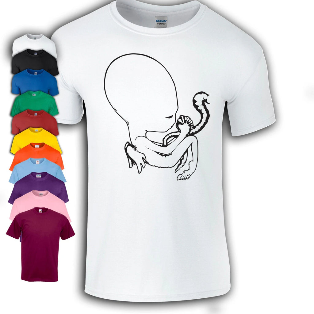 Sigur Ros Ágætis byrjun T-Shirt | Alternative | Indie
