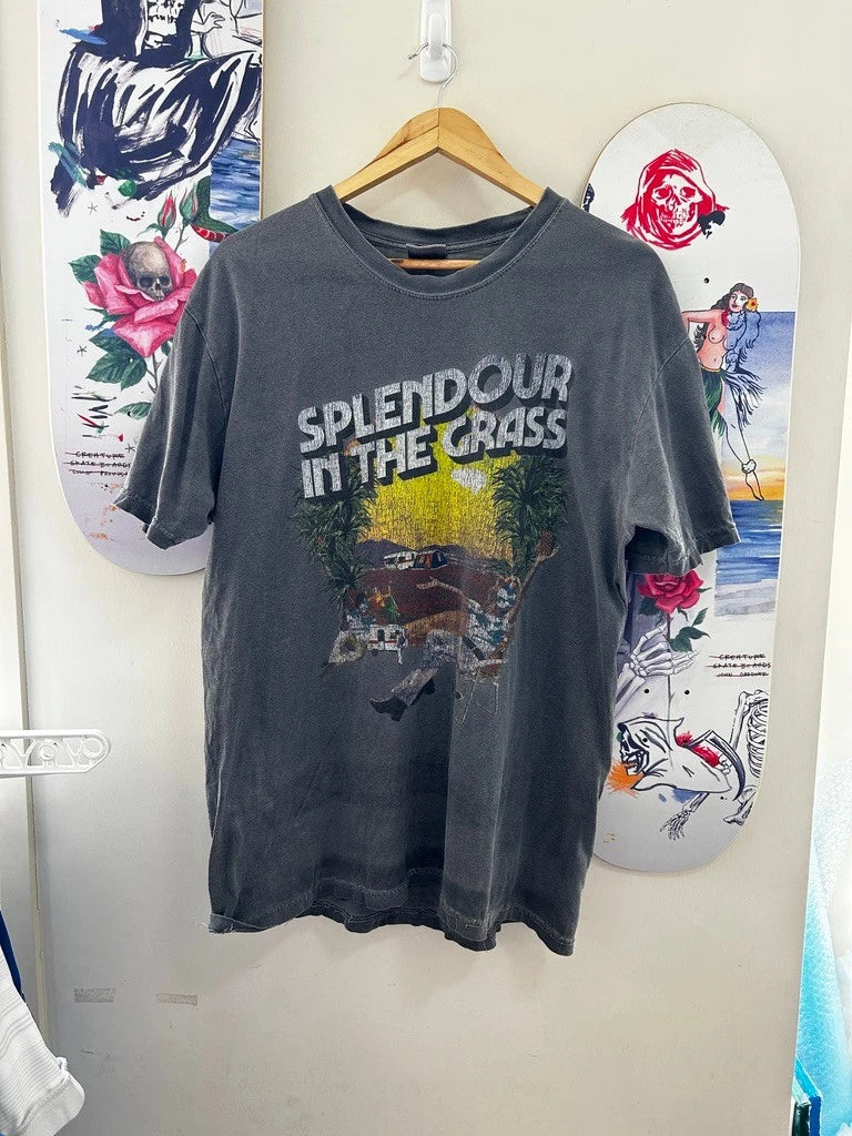 Splendour In The Grass Y2K Vtg T Shirt Grey Distressed Faded Sz L (Tag Washed)
