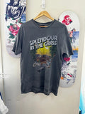 Splendour In The Grass Y2K Vtg T Shirt Grey Distressed Faded Sz L (Tag Washed)
