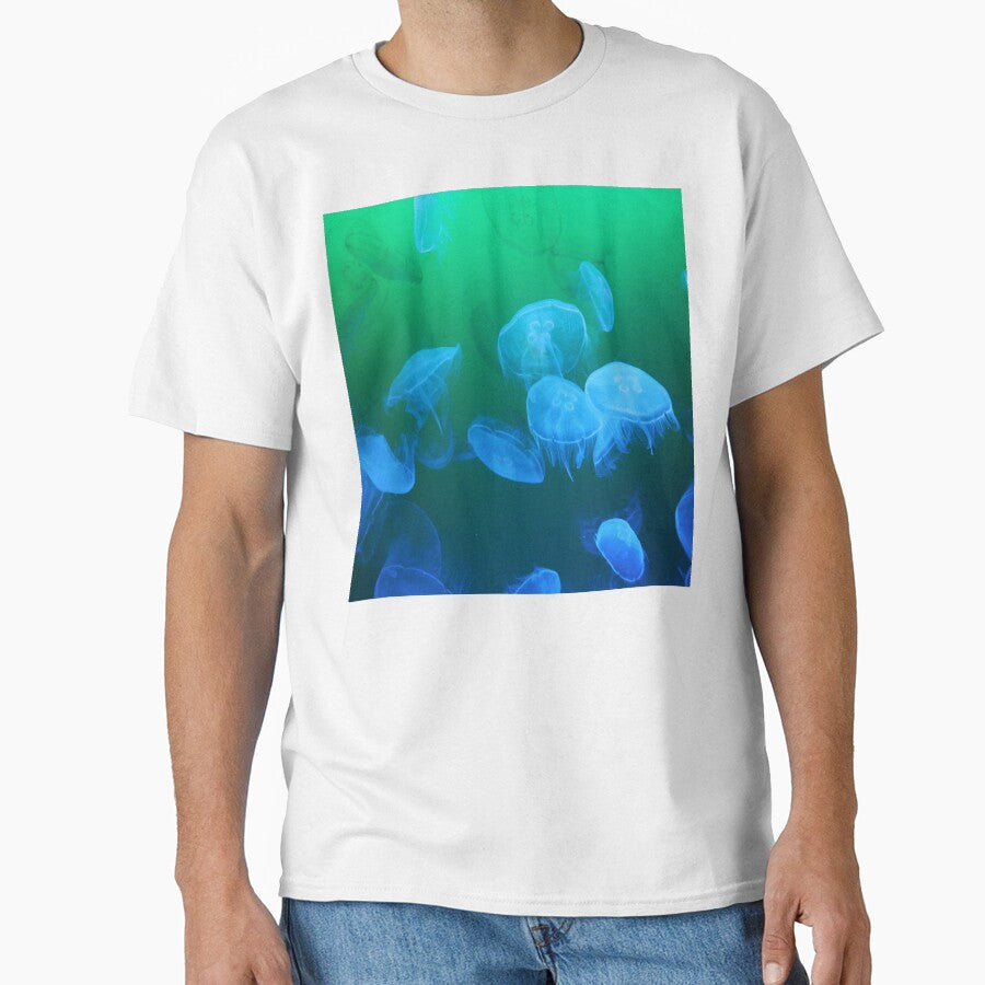 jellyfish by nature scenerys