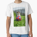 Dog on soccer ball by vexifyon1