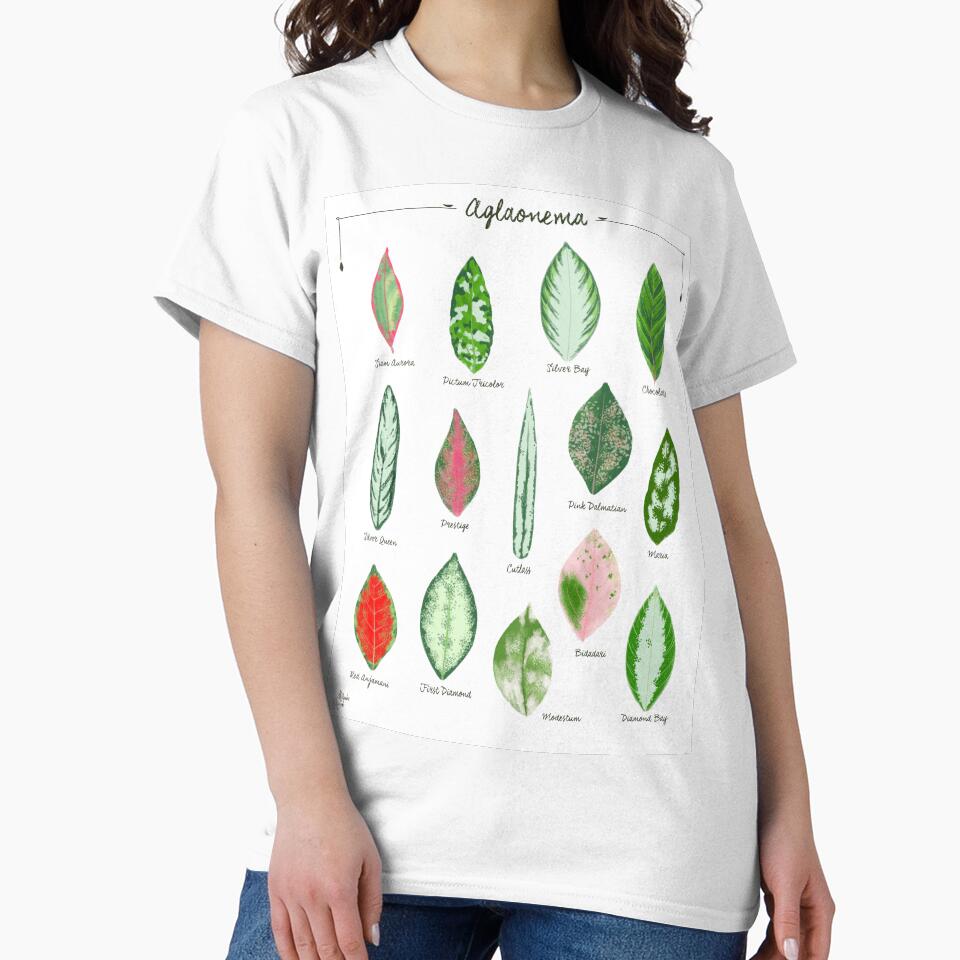 Aglaonema chinese evergreen leaves species by Onyria Art