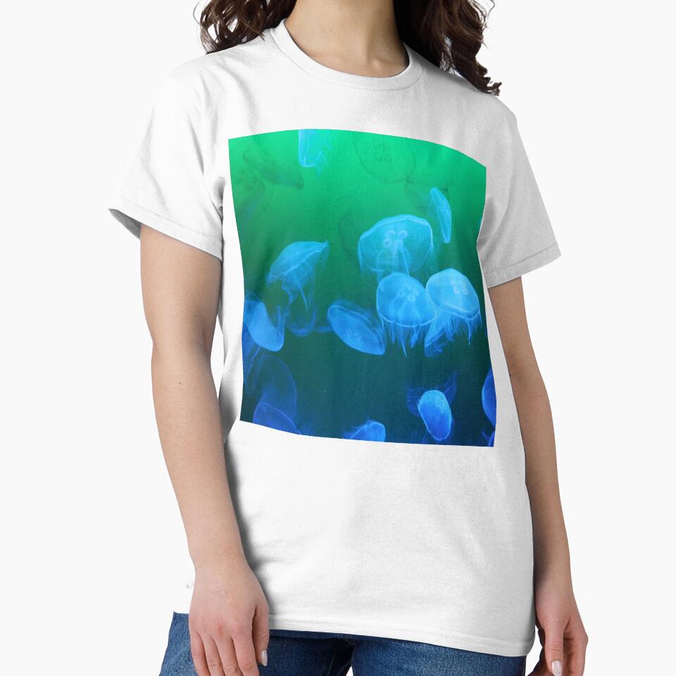 jellyfish by nature scenerys