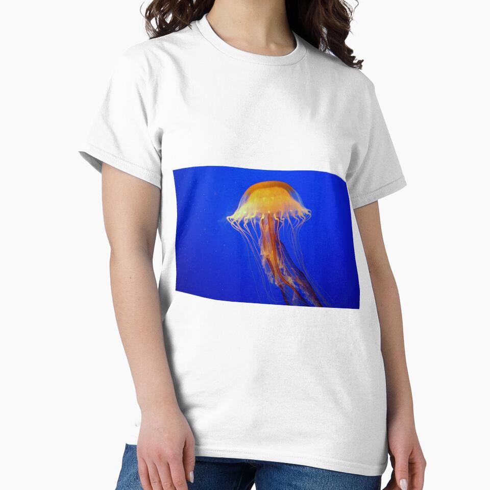 Jellyfish by Cynthia48