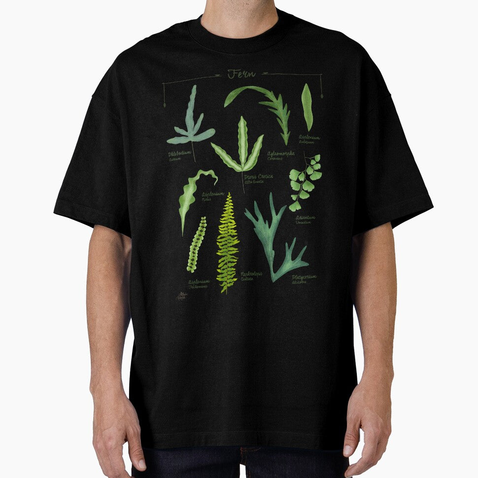Ferns species collection botanical illustration by Onyria Art