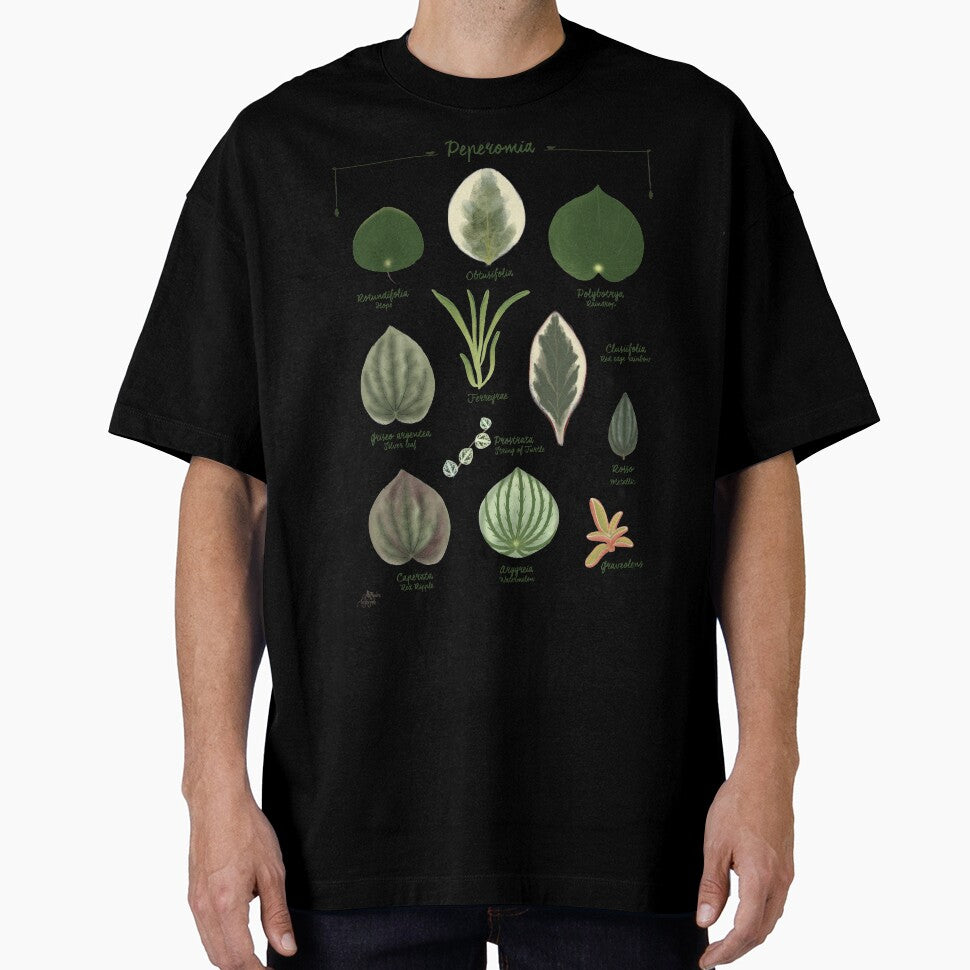 Peperomia plants species collection botanical illustration by Onyria Art