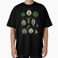 Peperomia plants species collection botanical illustration by Onyria Art